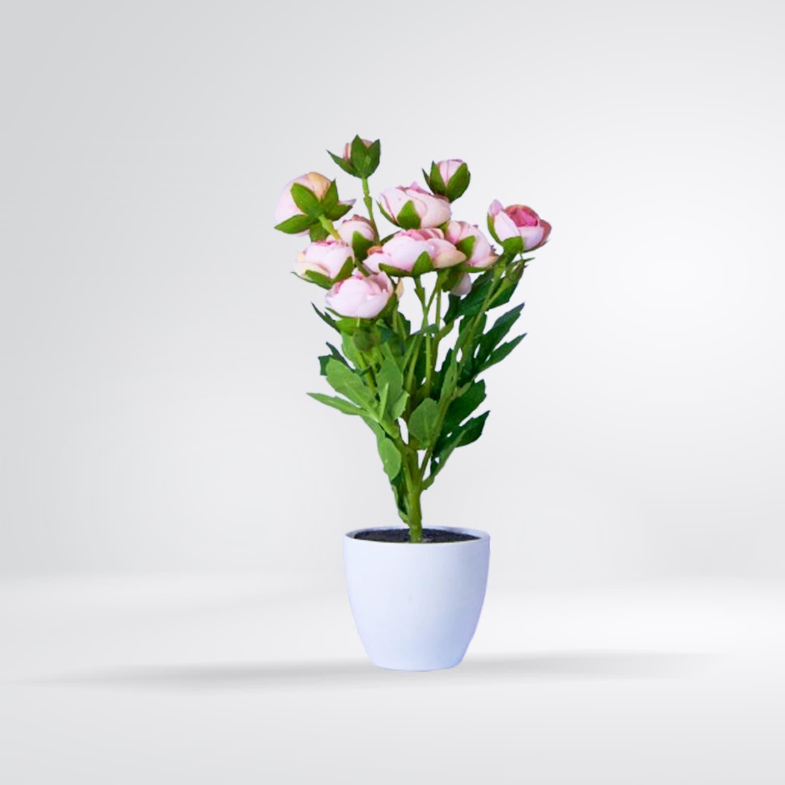 Bouquet pivoines roses en pot blanc