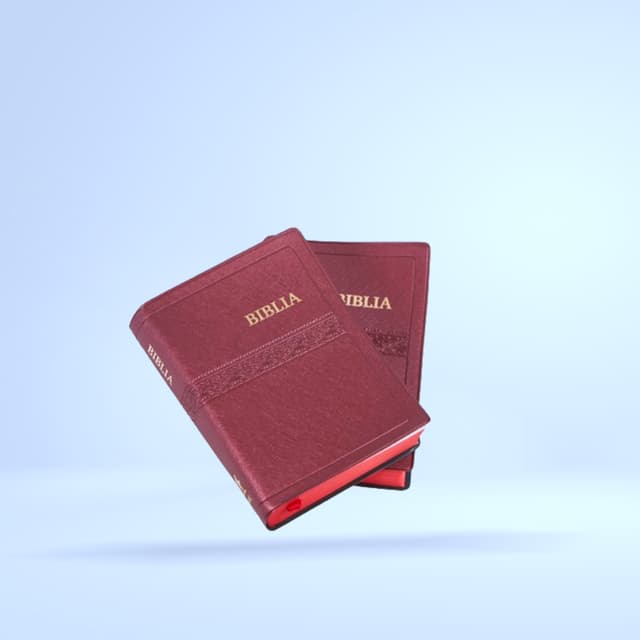 Bible "Biblia" (bordeaux)