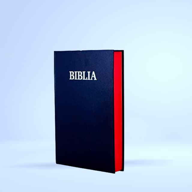 Bible "Biblia"